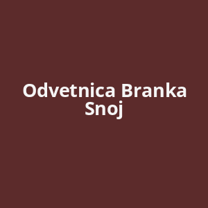 odvetnica-branka-snoj-av.png