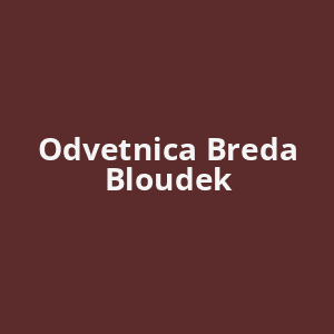 odvetnica-breda-bloudek-av.png