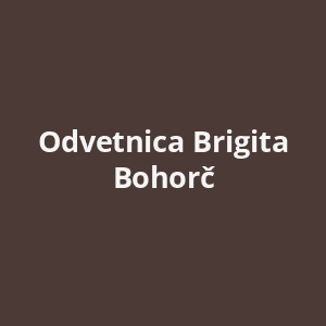 odvetnica-brigita-bohorc-av.png