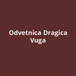 odvetnica-dragica-vuga-av.png
