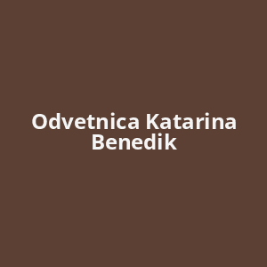 odvetnica-katarina-benedik-av.png