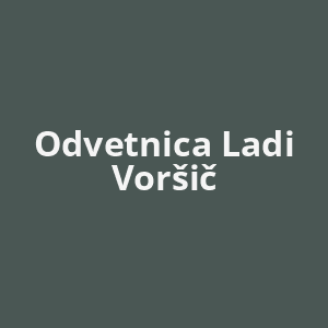 odvetnica-ladi-vorsic-av.png