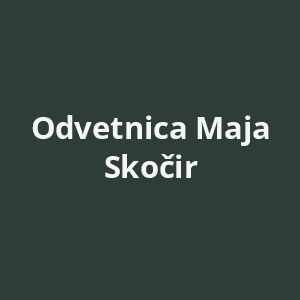 odvetnica-maja-skocir-av.png