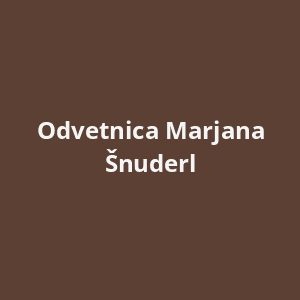odvetnica-marjana-snuderl-av.png