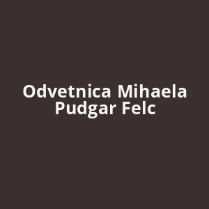 odvetnica-mihaela-pudgar-felc-av.png
