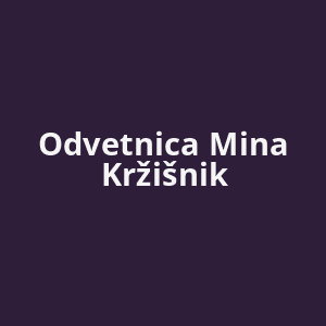 odvetnica-mina-krzisnik-av.png