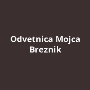 odvetnica-mojca-breznik-av.png