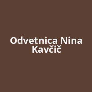 odvetnica-nina-kavcic-av.png