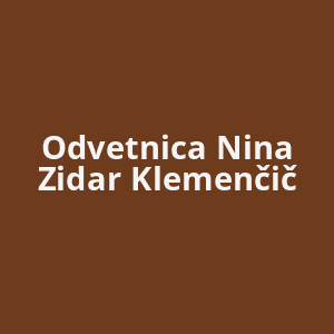 odvetnica-nina-zidar-klemencic-av.png