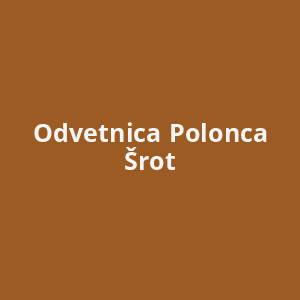 odvetnica-polonca-srot-av.png