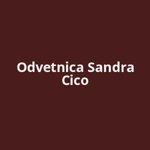 odvetnica-sandra-cico-av.png