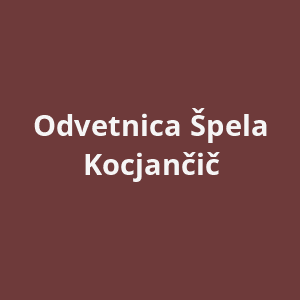 odvetnica-spela-kocjancic-av.png