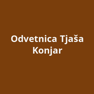 odvetnica-tjasa-konjar-av.png