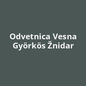 odvetnica-vesna-gyorkos-znidar-av.png