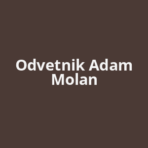 odvetnik-adam-molan-av.png