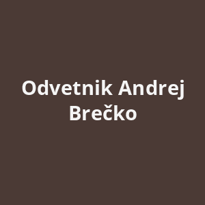 odvetnik-andrej-brecko-av.png