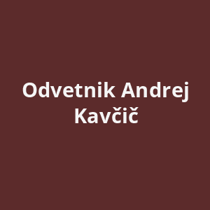 odvetnik-andrej-kavcic-av.png