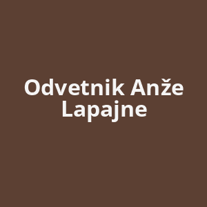 odvetnik-anze-lapajne-av.png
