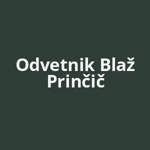 odvetnik-blaz-princic-av.png