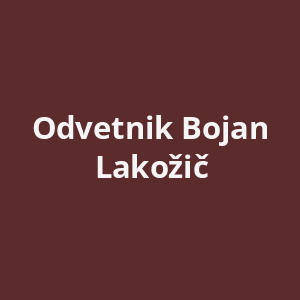 odvetnik-bojan-lakozic-av.png