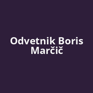 odvetnik-boris-marcic-av.png