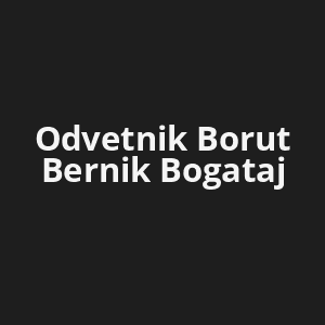 odvetnik-borut-bernik-bogataj-av.png