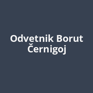 odvetnik-borut-cernigoj-av.png