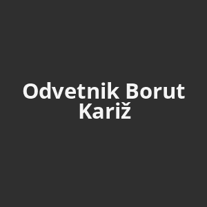 odvetnik-borut-kariz-av.png