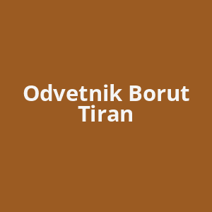 odvetnik-borut-tiran-av.png