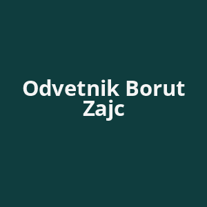 odvetnik-borut-zajc-av.png