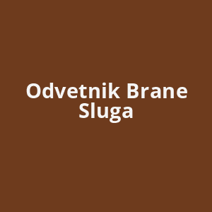 odvetnik-brane-sluga-av.png