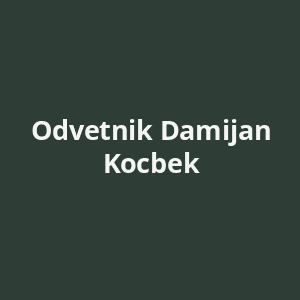odvetnik-damijan-kocbek-av.png