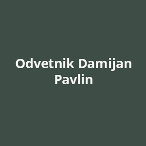 odvetnik-damijan-pavlin-av.png