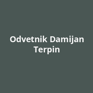 odvetnik-damijan-terpin-av.png
