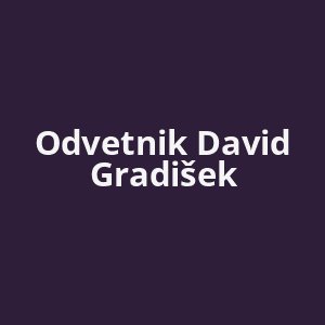 odvetnik-david-gradisek-av.png