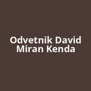 odvetnik-david-miran-kenda-av.png