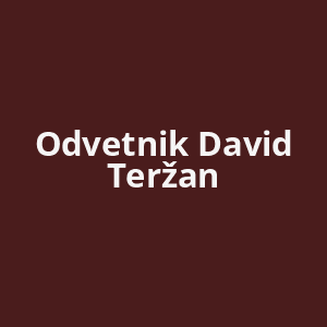 odvetnik-david-terzan-av.png