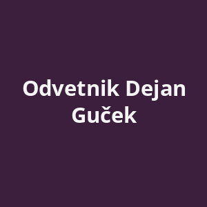 odvetnik-dejan-gucek-av.png