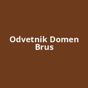 odvetnik-domen-brus-av.png