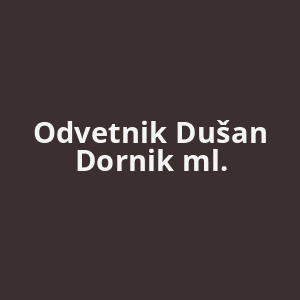 odvetnik-dusan-dornik-ml-av.png