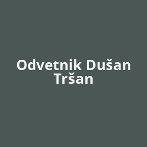 odvetnik-dusan-trsan-av.png