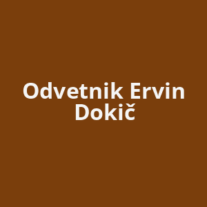 odvetnik-ervin-dokic-av.png