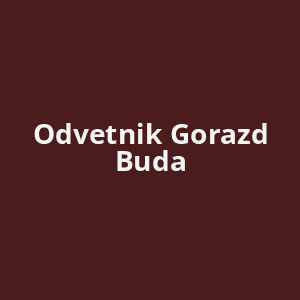 odvetnik-gorazd-buda-av.png