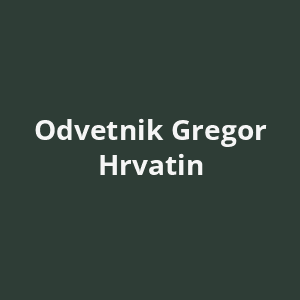odvetnik-gregor-hrvatin-av.png
