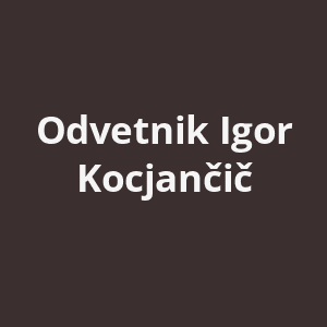 odvetnik-igor-kocjancic-av.png