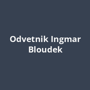 odvetnik-ingmar-bloudek-av.png
