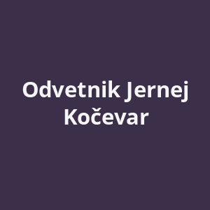 odvetnik-jernej-kocevar-av.png