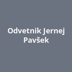 odvetnik-jernej-pavsek-av.png