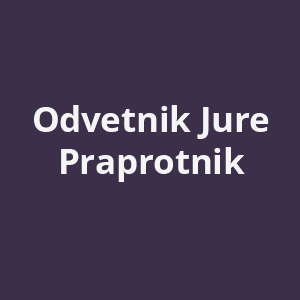 odvetnik-jure-praprotnik-av.png