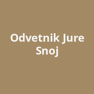 odvetnik-jure-snoj-av.png